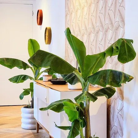 Luxury Flat With Balcony Near Arc De Triomphe * Paris