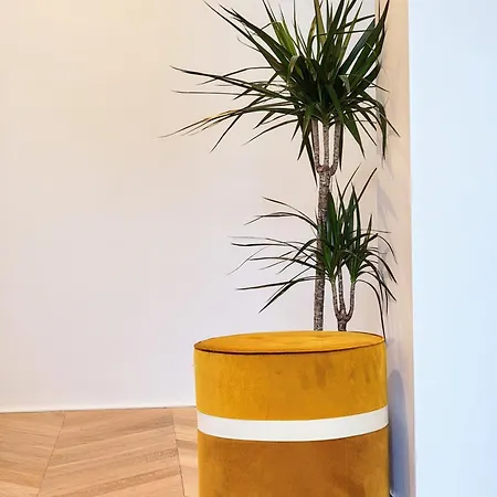 Luxury Flat With Balcony Near Arc De Triomphe Apartment *